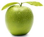 Bilan nutritionnel diététicienne Bouaye