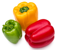 Diététicienne à Bouaye conseils en alimentation